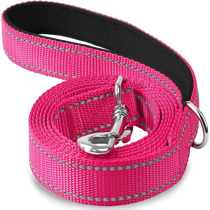 Laisse Pour Chien  pliable