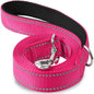 Laisse Pour Chien  pliable