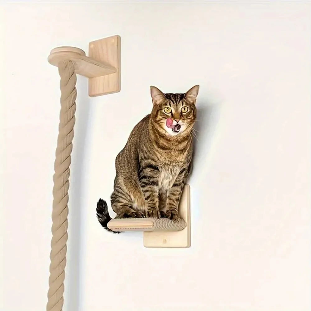 JOUET EDUCATIF POUR CHAT
