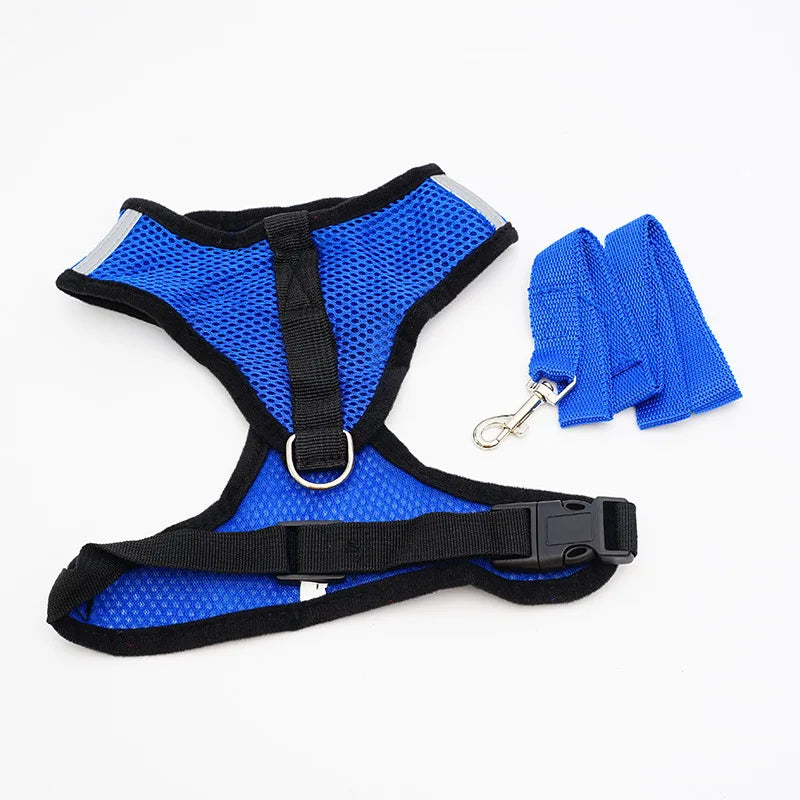 Harnais pour animaux de compagnie