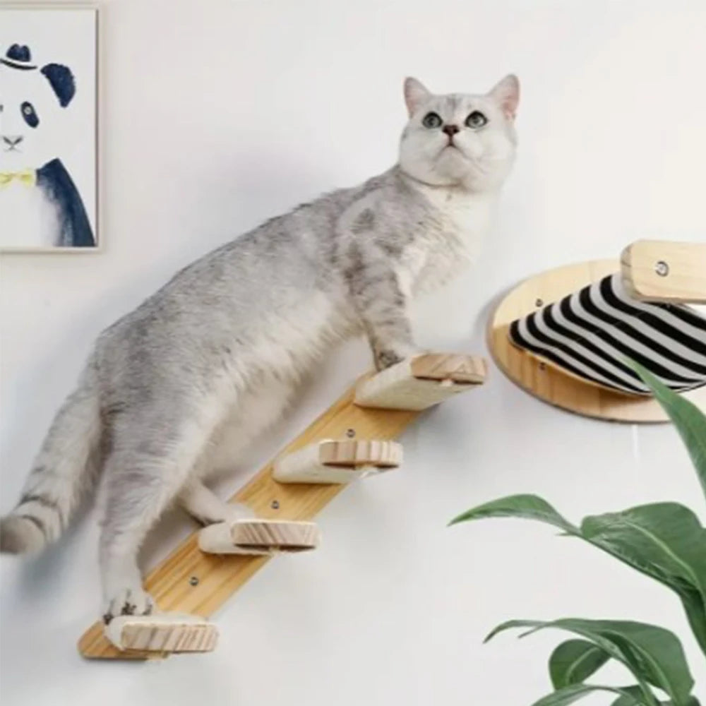 Jouet pour chat