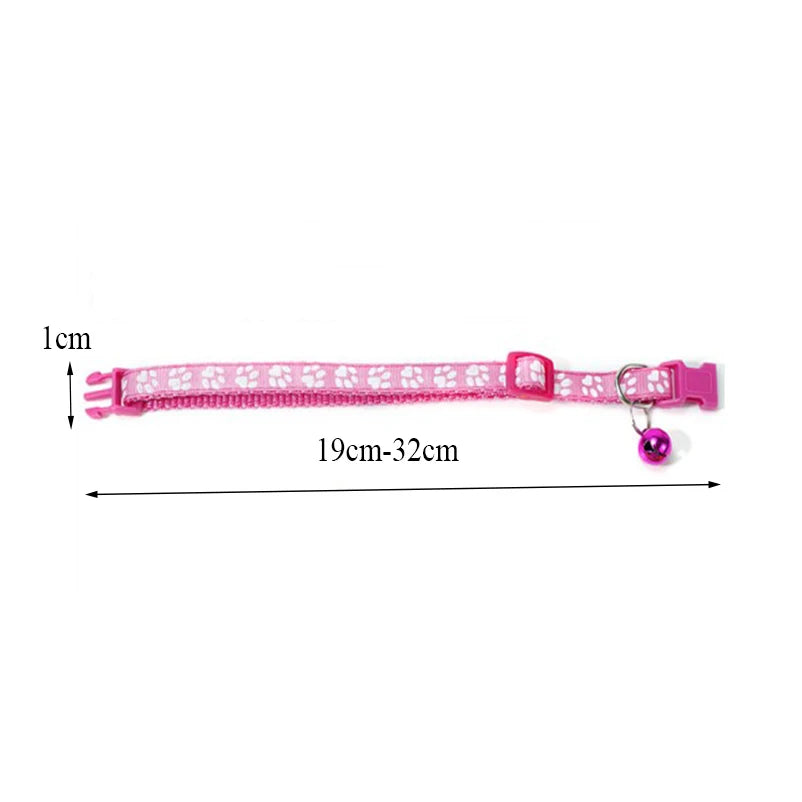 Collier pour chien et chat