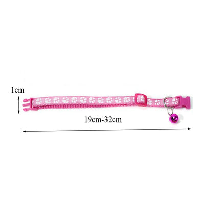 Collier pour chien et chat