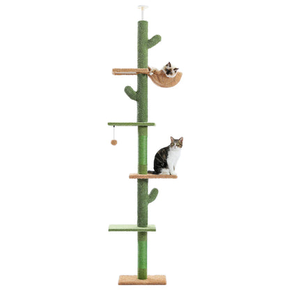Arbre à chat cactus