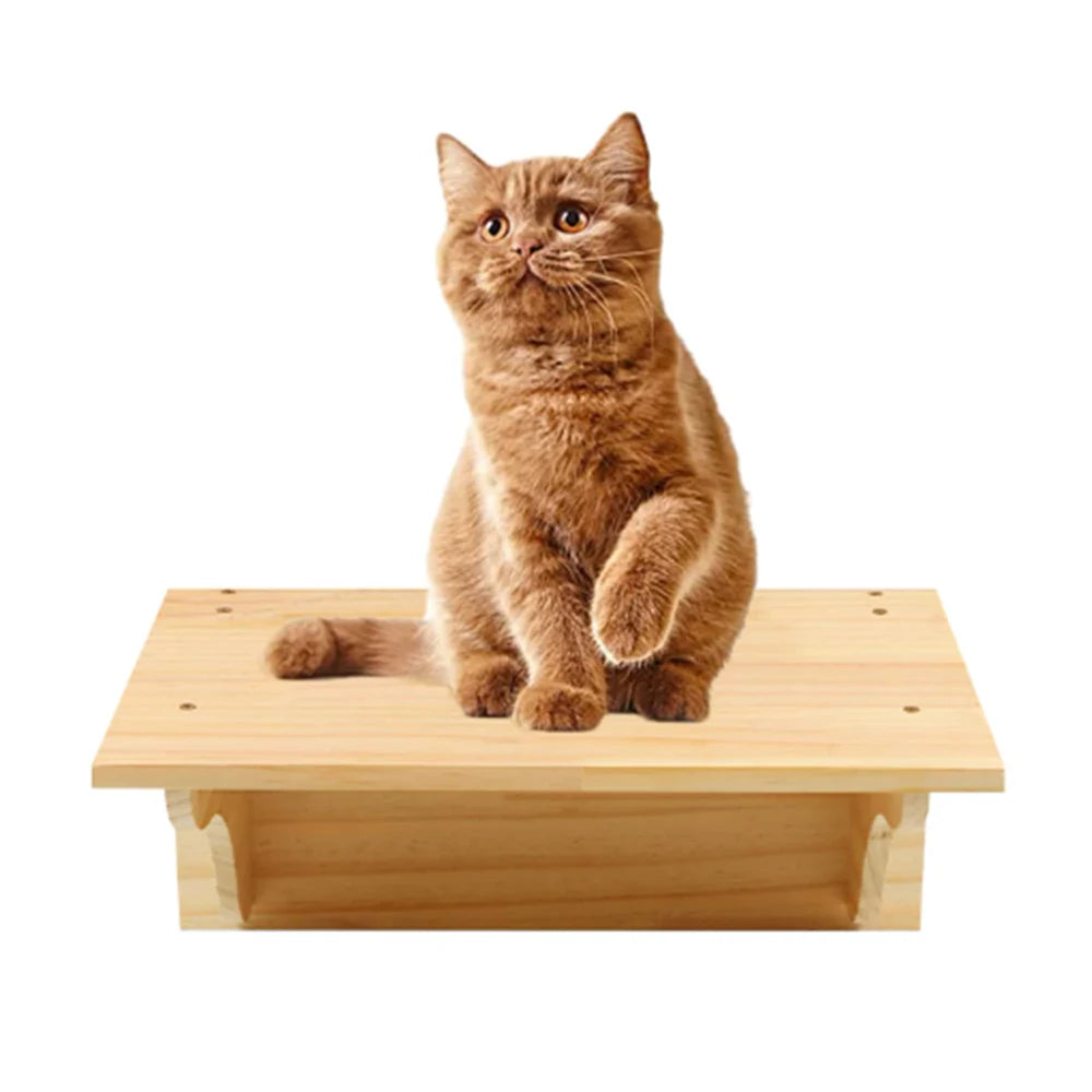 Jouets Pour Chats
