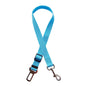 Laisse pour chien