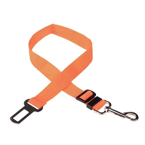 Ceinture de sécurité pour animaux de compagnie