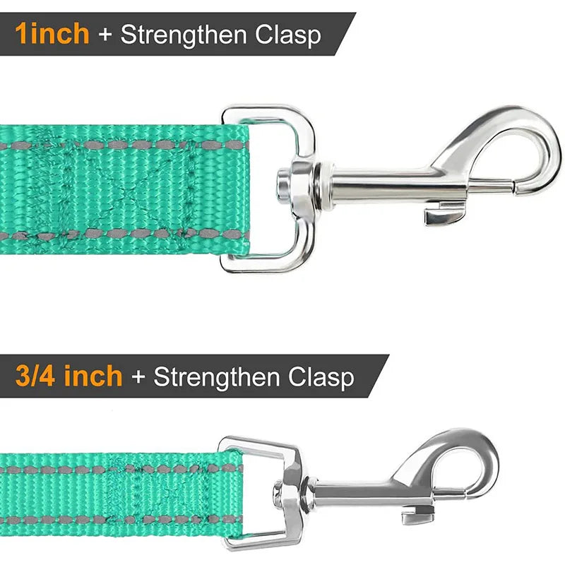 Laisse Pour Chien  pliable
