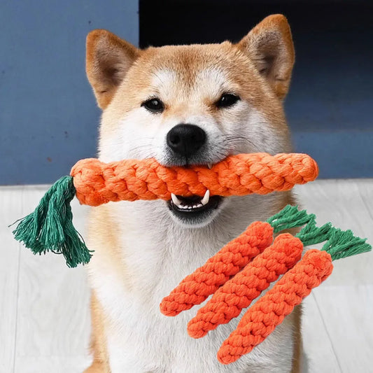 Jouet pour chien à mâcher