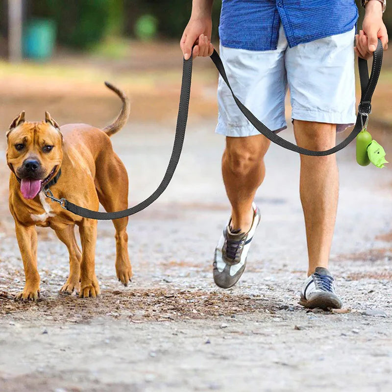 Laisse Pour Chien  pliable