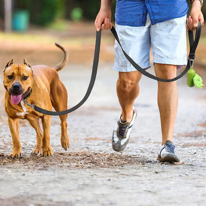 Laisse Pour Chien  pliable
